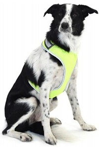 2022 Equisafety LED Flashing Hi-Vis Reflective Dog Harness DOGH - Yellow